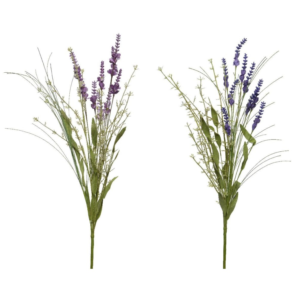 FIORE LAVANDA 2ASS H75